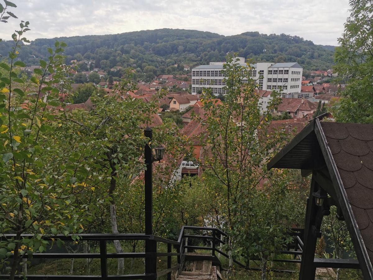 Hotel Casa Cu Cerdac Sighişoara Esterno foto