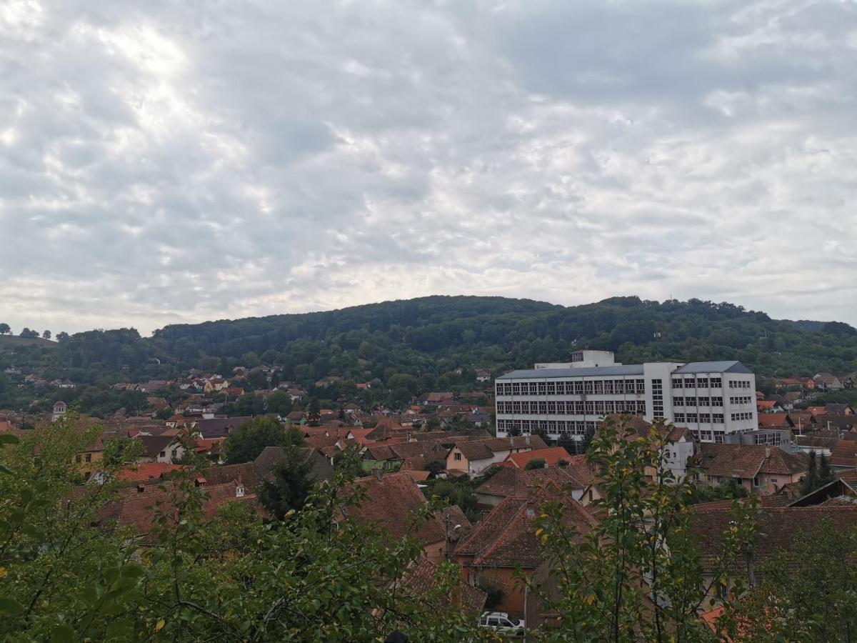 Hotel Casa Cu Cerdac Sighişoara Esterno foto
