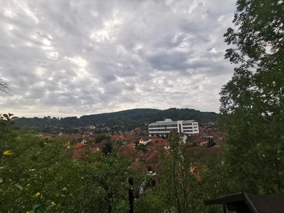 Hotel Casa Cu Cerdac Sighişoara Esterno foto